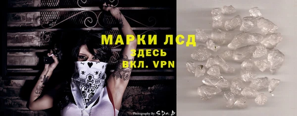 шишки Беломорск