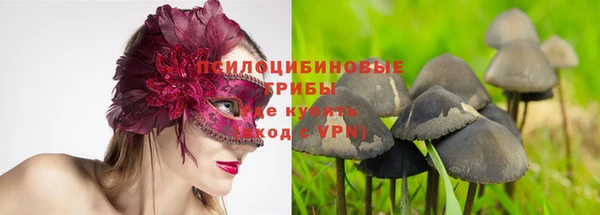 прущая мука Переславль-Залесский