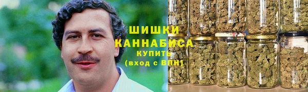 крисы Пестово