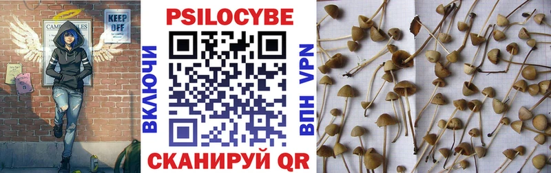 Псилоцибиновые грибы Cubensis  дарнет шоп  Кстово 